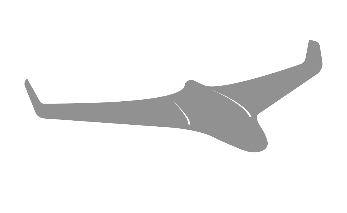Fixed Wing Flying Wing