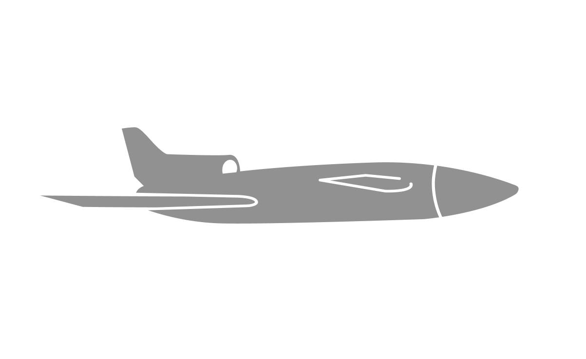 Target Fixed Wing Or Multirotor